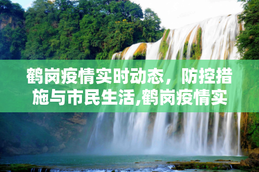 鹤岗疫情实时动态，防控措施与市民生活,鹤岗疫情实时动态