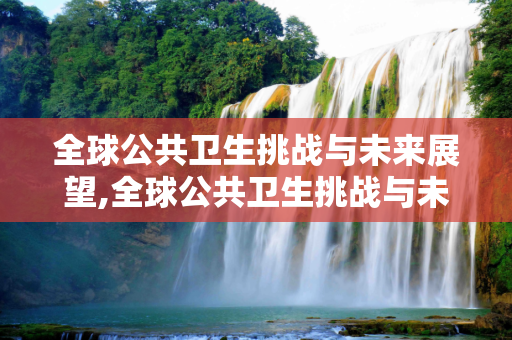 全球公共卫生挑战与未来展望,全球公共卫生挑战与未来展望
