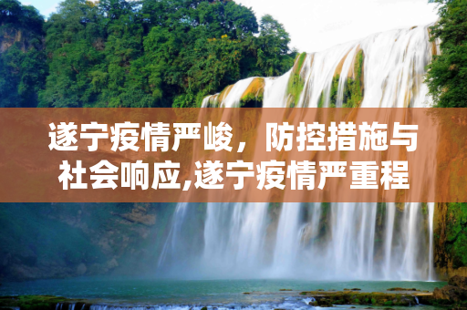 遂宁疫情严峻，防控措施与社会响应,遂宁疫情严重程度