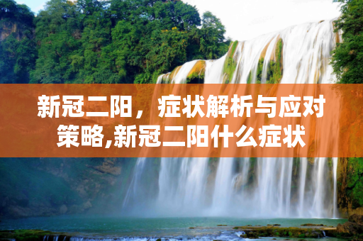 新冠二阳，症状解析与应对策略,新冠二阳什么症状