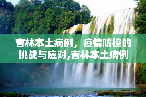 吉林本土病例，疫情防控的挑战与应对,吉林本土病例