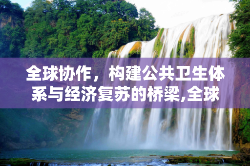 全球协作，构建公共卫生体系与经济复苏的桥梁,全球协作、公共卫生体系与经济复苏