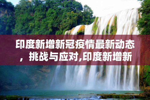 印度新增新冠疫情最新动态，挑战与应对,印度新增新冠疫情最新