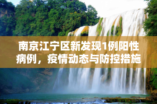 南京江宁区新发现1例阳性病例，疫情动态与防控措施,包含南京江宁新发现1例阳性的词条