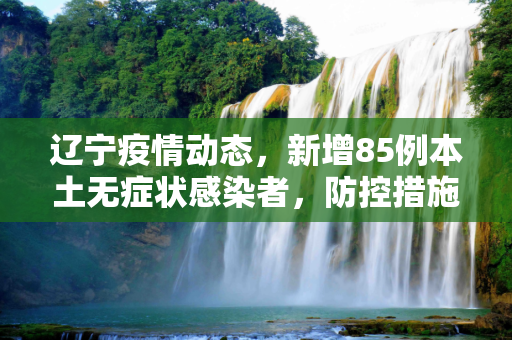 辽宁疫情动态，新增85例本土无症状感染者，防控措施再升级,辽宁新增85例本土无症状