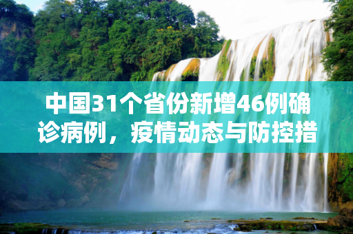 中国31个省份新增46例确诊病例，疫情动态与防控措施,31个省份新增46例确诊病例