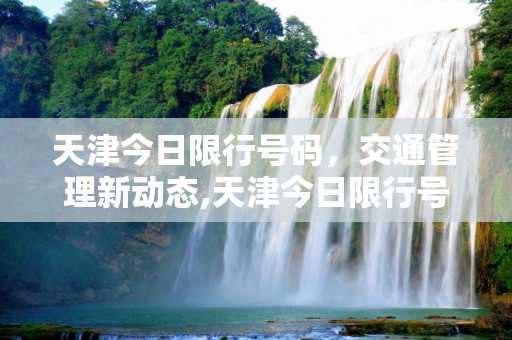 天津今日限行号码，交通管理新动态,天津今日限行号码