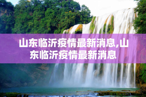 山东临沂疫情最新消息,山东临沂疫情最新消息