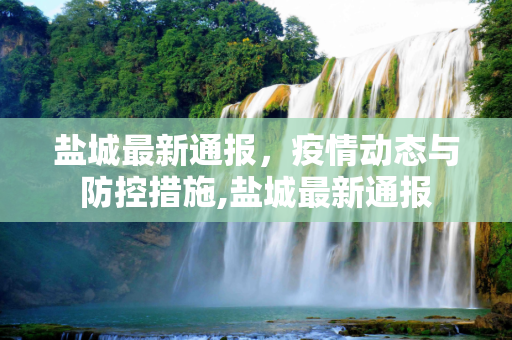 盐城最新通报，疫情动态与防控措施,盐城最新通报