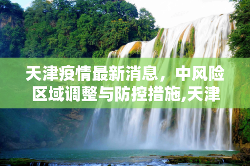天津疫情最新消息，中风险区域调整与防控措施,天津疫情最新消息中风险