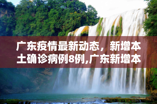 广东疫情最新动态，新增本土确诊病例8例,广东新增本土确诊8例