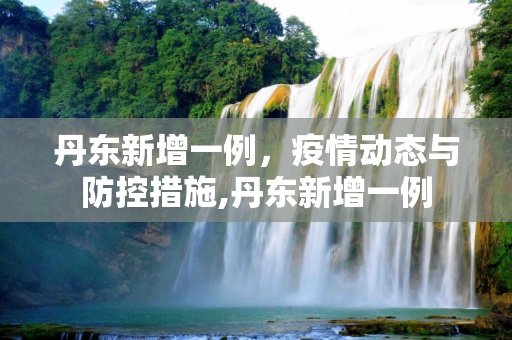 丹东新增一例，疫情动态与防控措施,丹东新增一例
