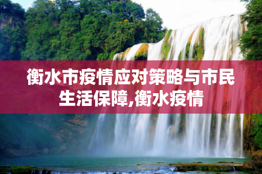 衡水市疫情应对策略与市民生活保障,衡水疫情