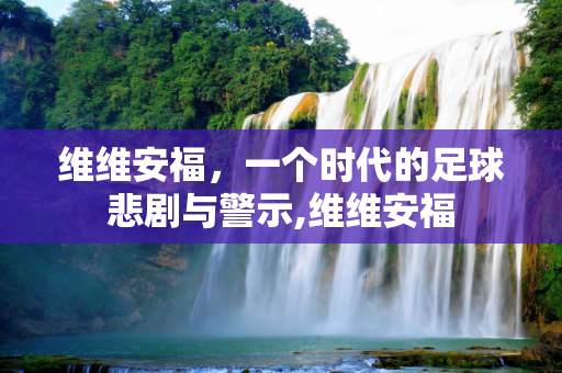 维维安福，一个时代的足球悲剧与警示,维维安福
