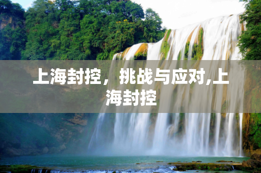 上海封控，挑战与应对,上海封控