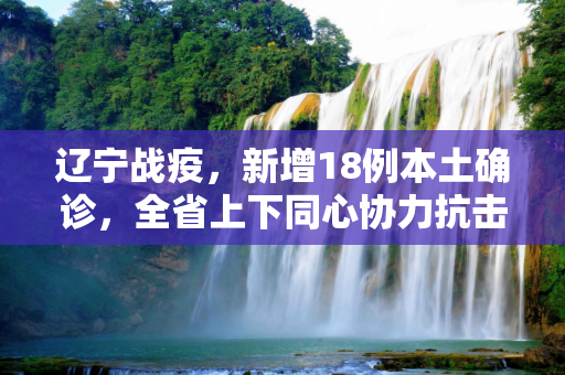辽宁战疫，新增18例本土确诊，全省上下同心协力抗击疫情,辽宁新增18例本土确诊