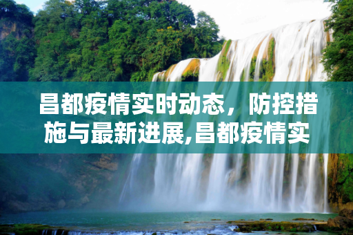 昌都疫情实时动态，防控措施与最新进展,昌都疫情实时动态