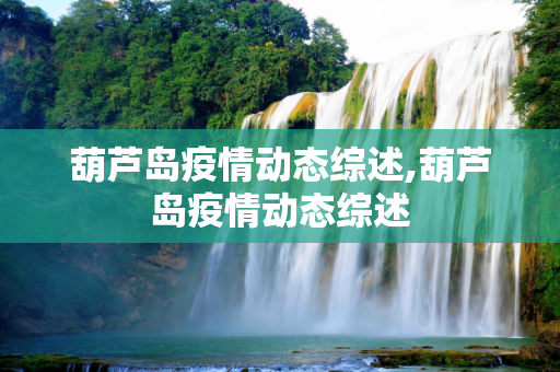 葫芦岛疫情动态综述,葫芦岛疫情动态综述
