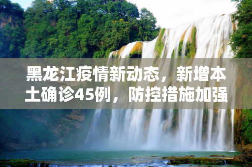 黑龙江疫情新动态，新增本土确诊45例，防控措施加强,黑龙江新增本土确诊45例