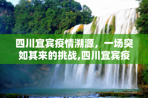 四川宜宾疫情溯源，一场突如其来的挑战,四川宜宾疫情是如何发生的？