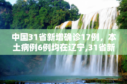 中国31省新增确诊17例，本土病例6例均在辽宁,31省新增确诊17例本土6例在辽宁