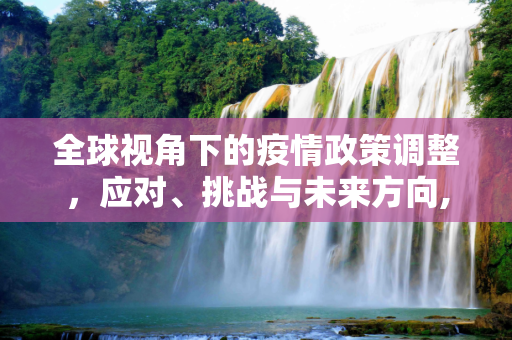 全球视角下的疫情政策调整，应对、挑战与未来方向,全球视角下的疫情政策调整