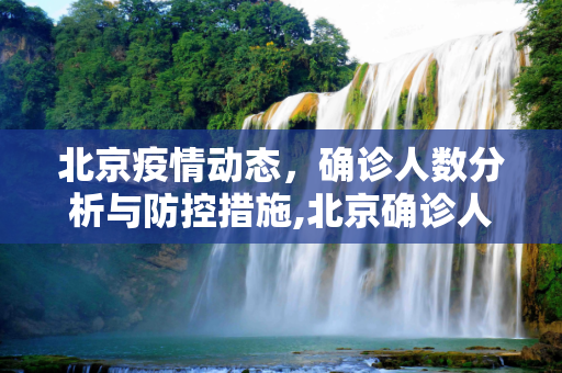 北京疫情动态，确诊人数分析与防控措施,北京确诊人数