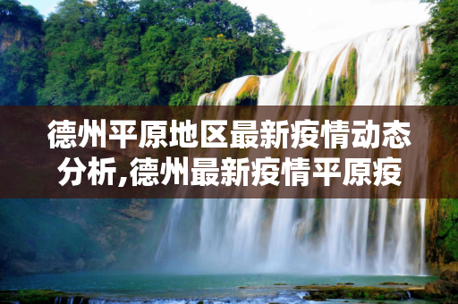 德州平原地区最新疫情动态分析,德州最新疫情平原疫情
