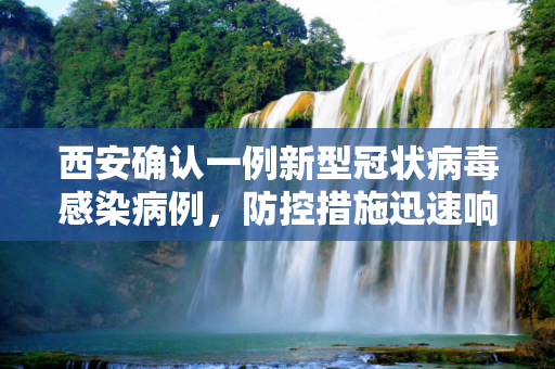 西安确认一例新型冠状病毒感染病例，防控措施迅速响应,西安确认一例新型冠状病毒