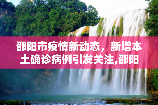 邵阳市疫情新动态，新增本土确诊病例引发关注,邵阳新增本土确诊