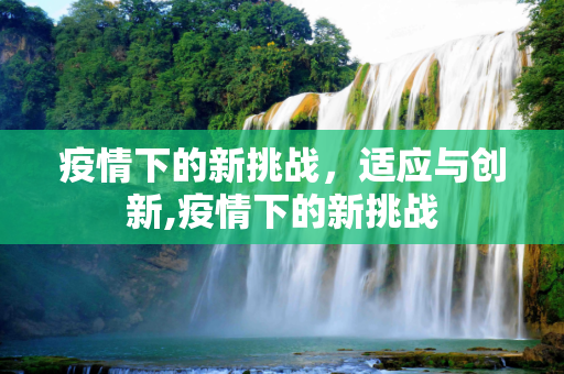 疫情下的新挑战，适应与创新,疫情下的新挑战