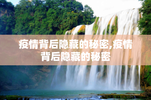 疫情背后隐藏的秘密,疫情背后隐藏的秘密