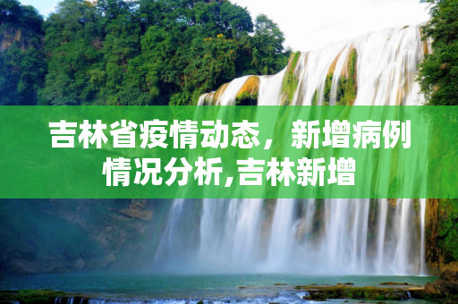 吉林省疫情动态，新增病例情况分析,吉林新增
