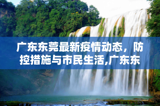 广东东莞最新疫情动态，防控措施与市民生活,广东东莞最新疫情