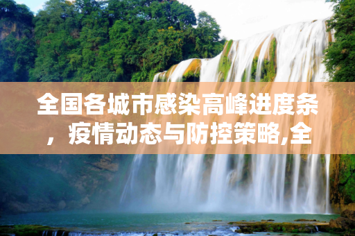 全国各城市感染高峰进度条，疫情动态与防控策略,全国各城市感染高峰进度条