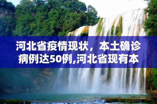 河北省疫情现状，本土确诊病例达50例,河北省现有本土确诊病例50例