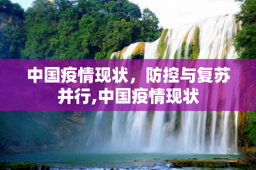 中国疫情现状，防控与复苏并行,中国疫情现状
