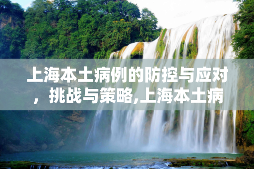 上海本土病例的防控与应对，挑战与策略,上海本土病例