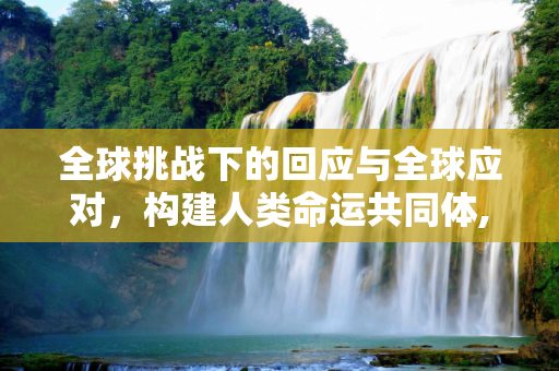 全球挑战下的回应与全球应对，构建人类命运共同体,回应与全球应对