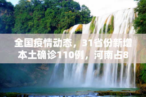 全国疫情动态，31省份新增本土确诊110例，河南占87例,31省份新增本土确诊110例河南87例