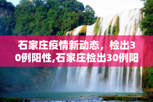 石家庄疫情新动态，检出30例阳性,石家庄检出30例阳性