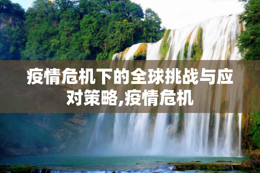疫情危机下的全球挑战与应对策略,疫情危机