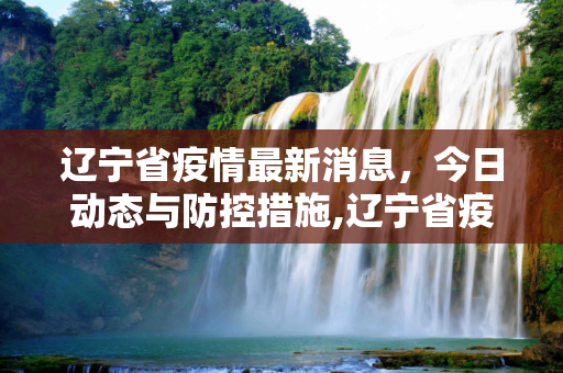 辽宁省疫情最新消息，今日动态与防控措施,辽宁省疫情最新消息今天