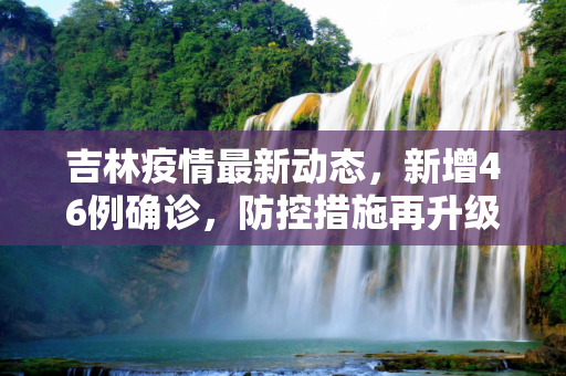 吉林疫情最新动态，新增46例确诊，防控措施再升级,吉林新增46例确诊