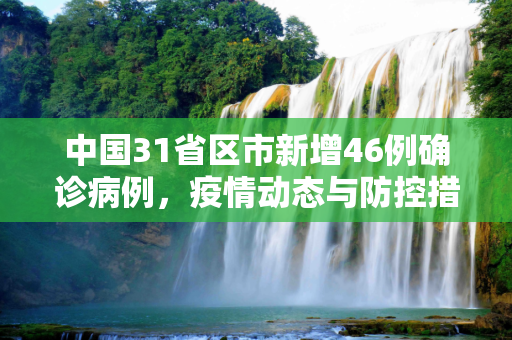 中国31省区市新增46例确诊病例，疫情动态与防控措施,31省区市新增46例确诊病例