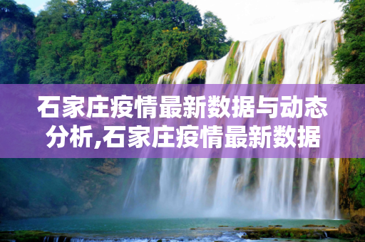石家庄疫情最新数据与动态分析,石家庄疫情最新数据消息