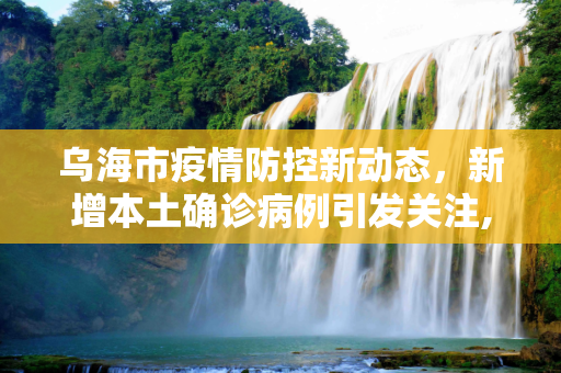 乌海市疫情防控新动态，新增本土确诊病例引发关注,乌海市新增本土确诊