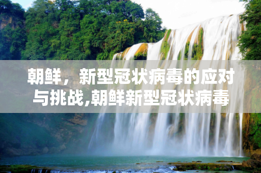 朝鲜，新型冠状病毒的应对与挑战,朝鲜新型冠状病毒
