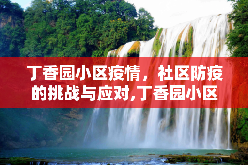 丁香园小区疫情，社区防疫的挑战与应对,丁香园小区疫情