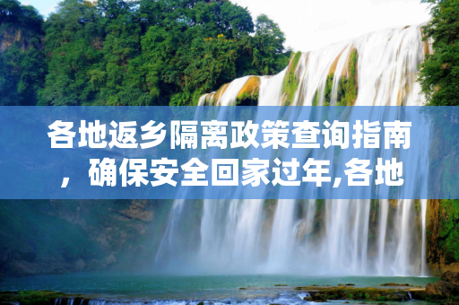 各地返乡隔离政策查询指南，确保安全回家过年,各地返乡隔离政策查询